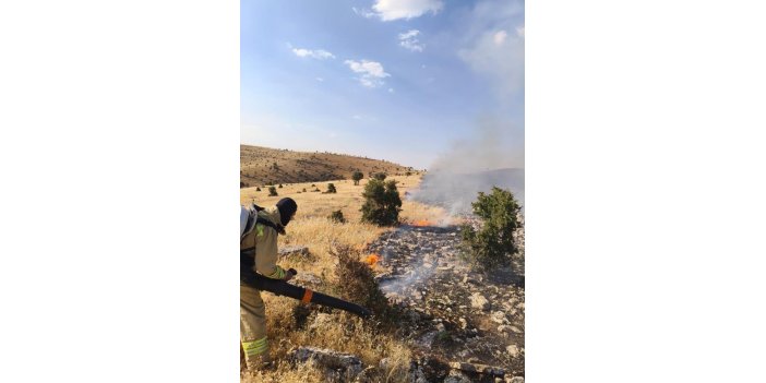 Mardin'de örtü ve anız yangını söndürüldü