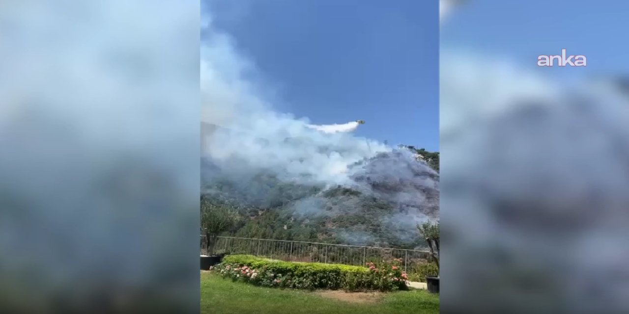 İzmir'de orman yangını