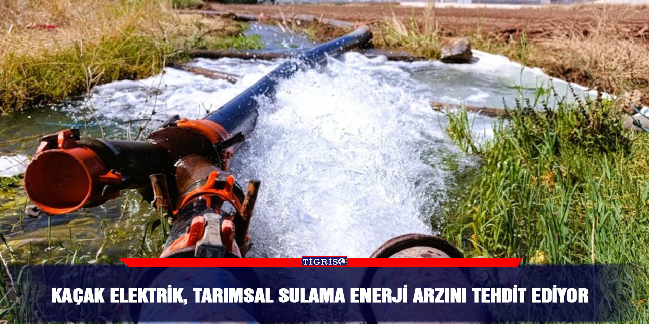 Kaçak Elektrik, tarımsal sulama enerji arzını tehdit ediyor