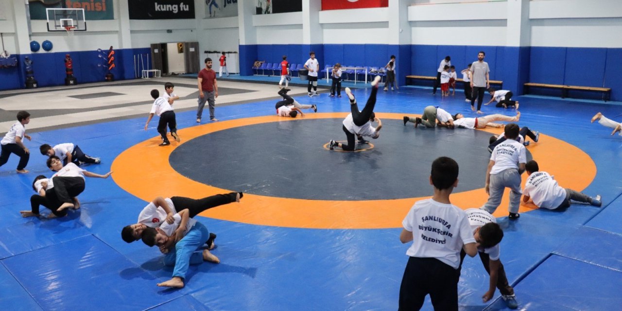 Şanlıurfa'da gençler ata sporu güreşe yoğun ilgi gösteriyor