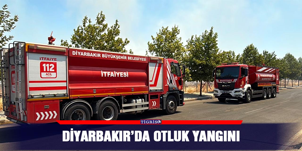 Diyarbakır’da otluk yangını