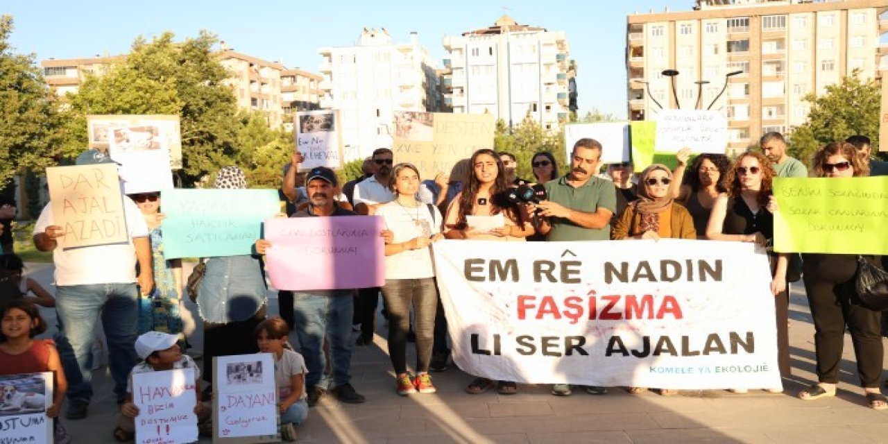 Diyarbakır’da hayvanların toplanmasına tepki