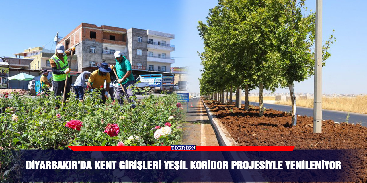 Diyarbakır’da kent girişleri yeşil koridor projesiyle yenileniyor