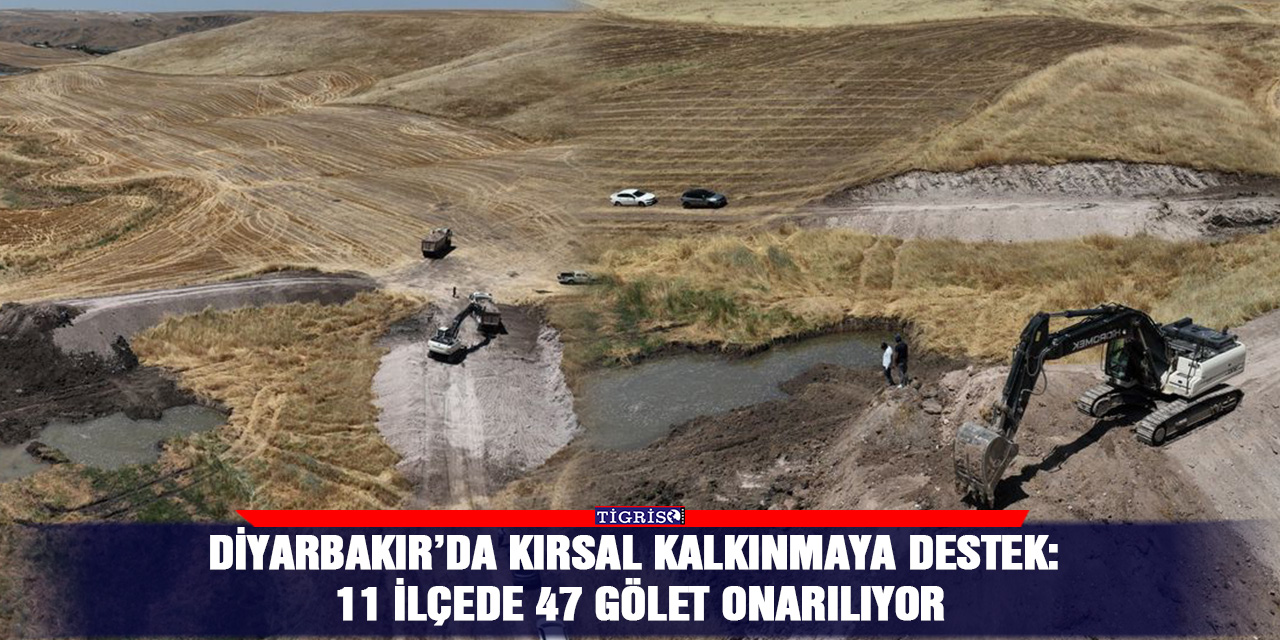 Diyarbakır’da kırsal kalkınmaya destek: 11 ilçede 47 gölet onarılıyor