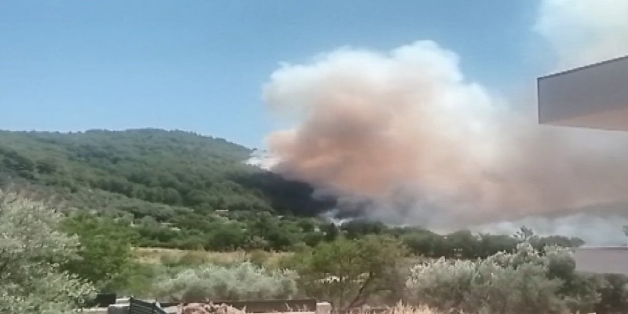Muğla'da orman yangını