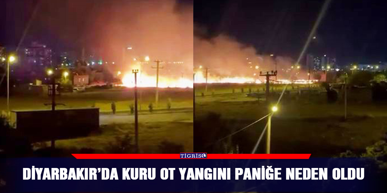 Diyarbakır’da kuru ot yangını paniğe neden oldu