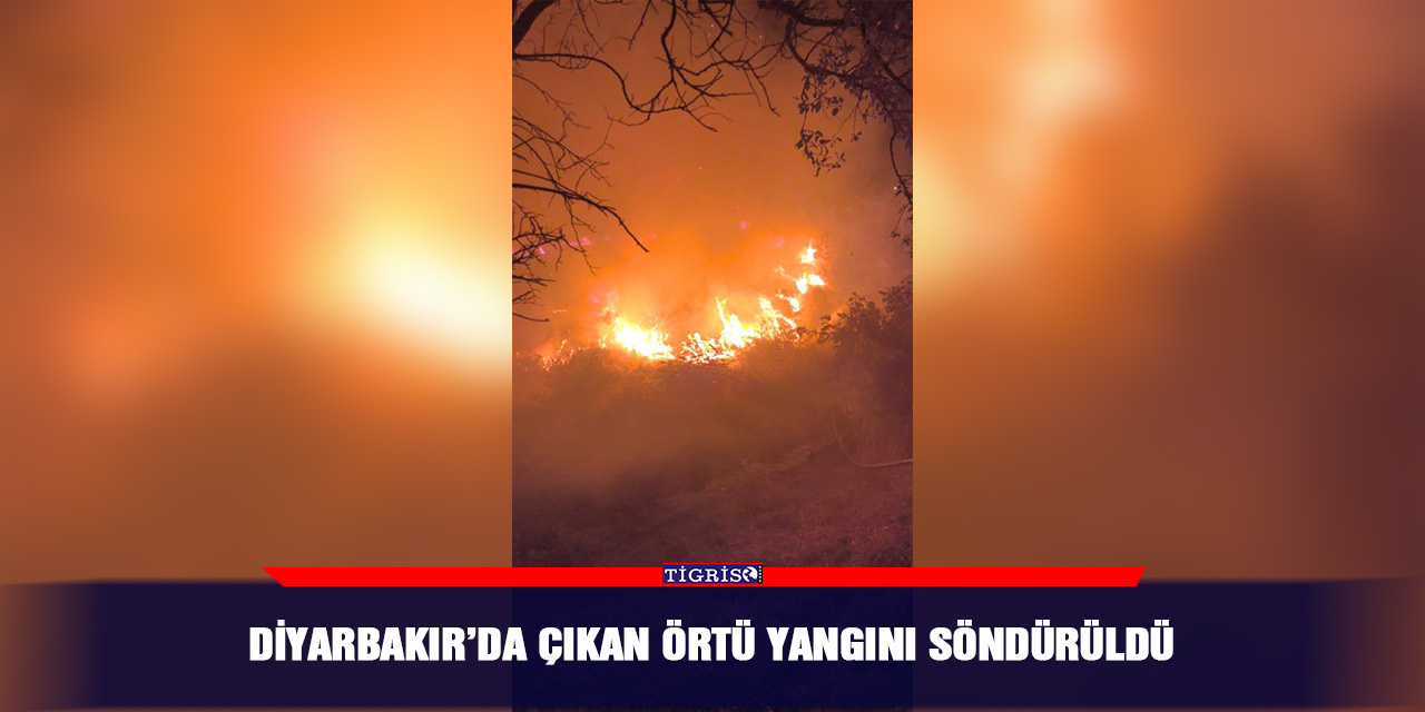 Diyarbakır’da çıkan örtü yangını söndürüldü