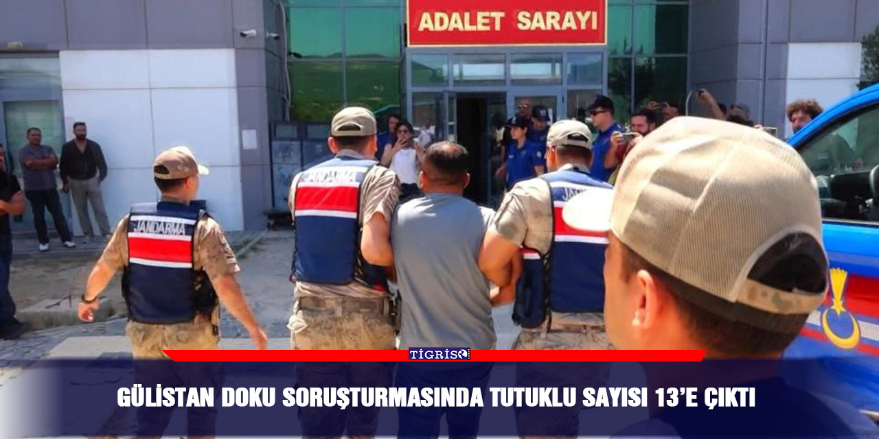 Gülistan Doku soruşturmasında tutuklu sayısı 13’e çıktı