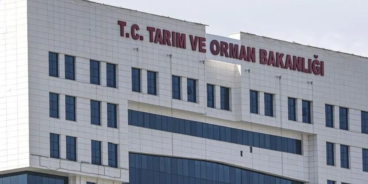 Tarım ve Orman Bakanlığı 1874 sözleşmeli personel alacak