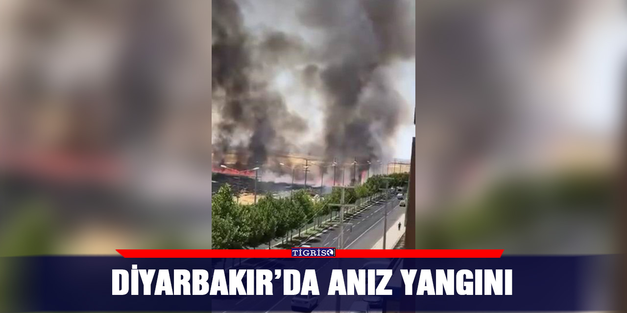 Diyarbakır’da anız yangını