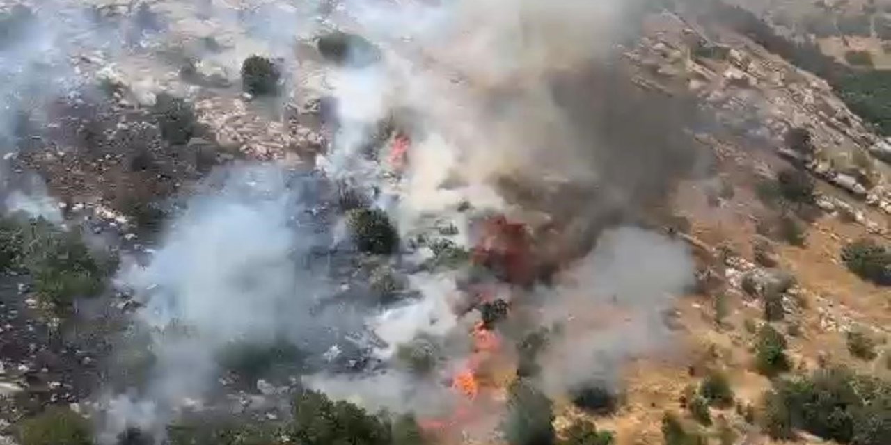 Diyarbakır'da çıkan örtü ve orman yangınları söndürüldü