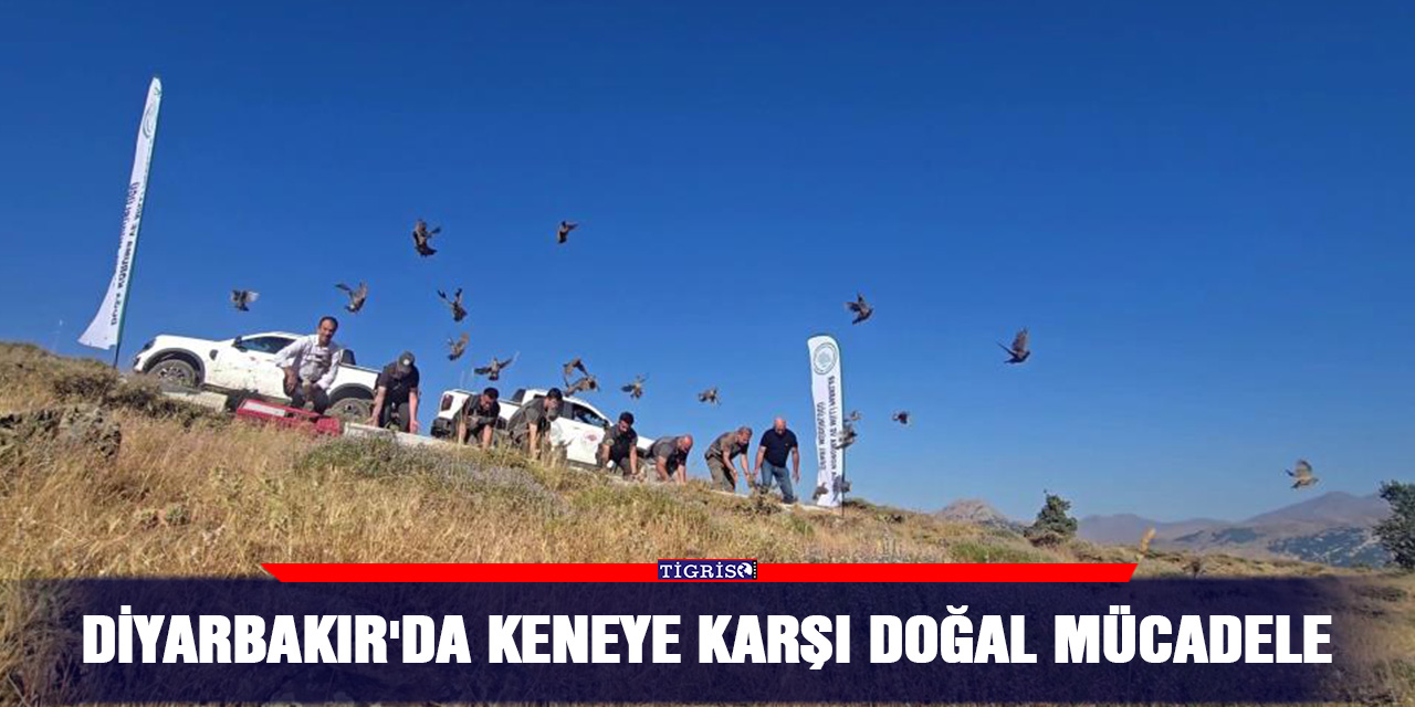 Diyarbakır'da keneye karşı doğal mücadele