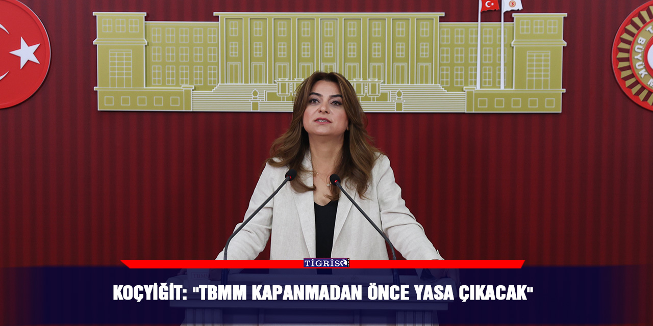 Koçyiğit: "TBMM kapanmadan önce yasa çıkacak"