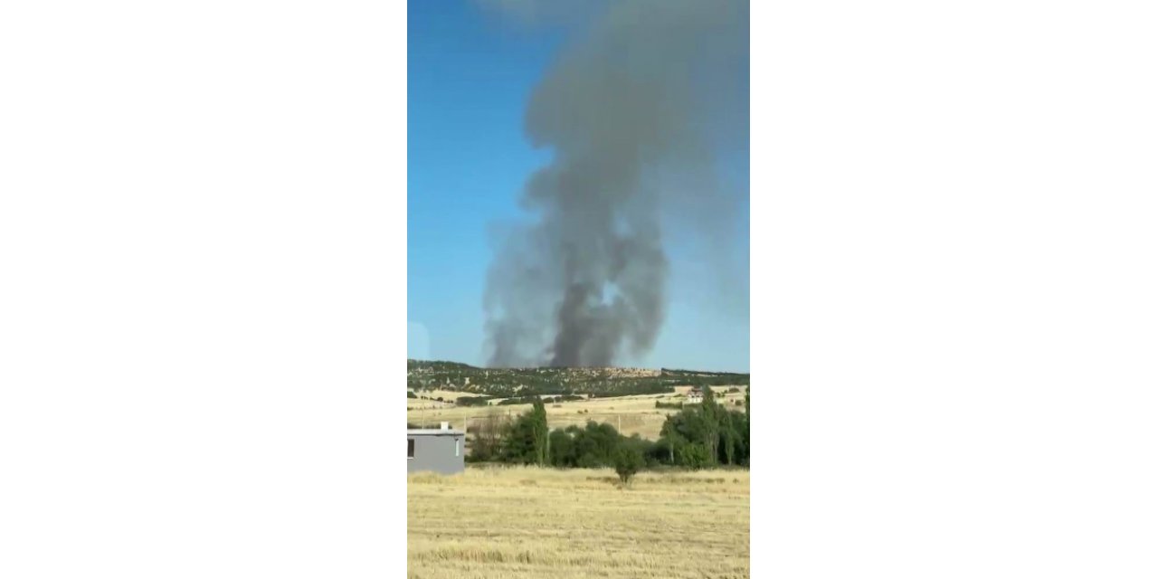 Diyarbakır'da ağaçlık alanda yangın