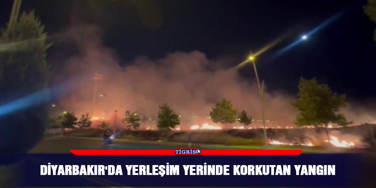 Diyarbakır'da yerleşim yerinde korkutan yangın