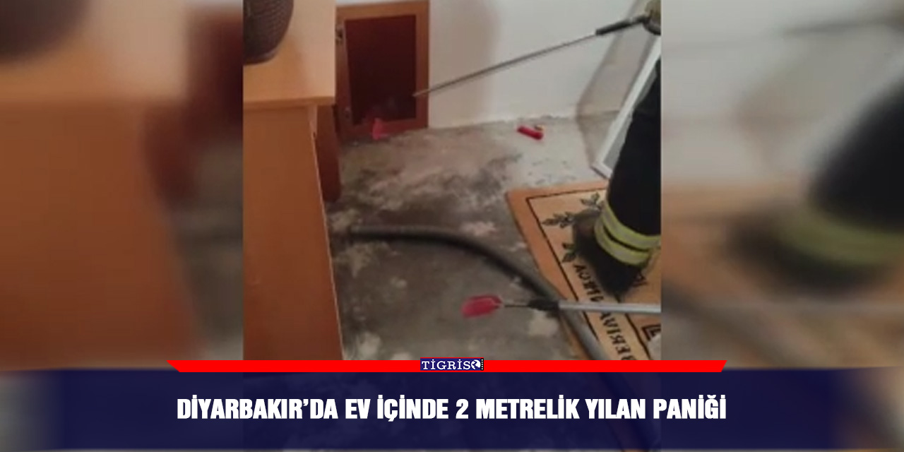 Diyarbakır’da ev içinde 2 metrelik yılan paniği