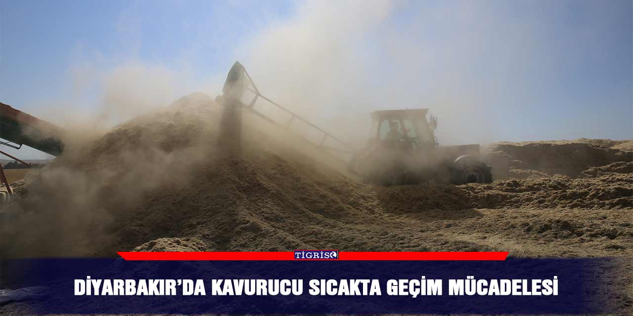 Diyarbakır’da kavurucu sıcakta geçim mücadelesi