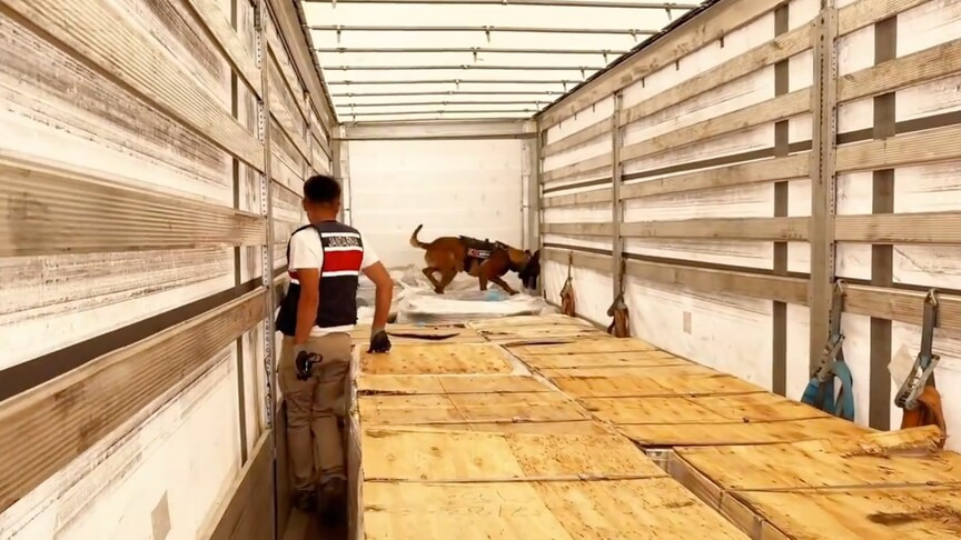 24 ilde uyuşturucu operasyonu: 80 kişi tutuklandı