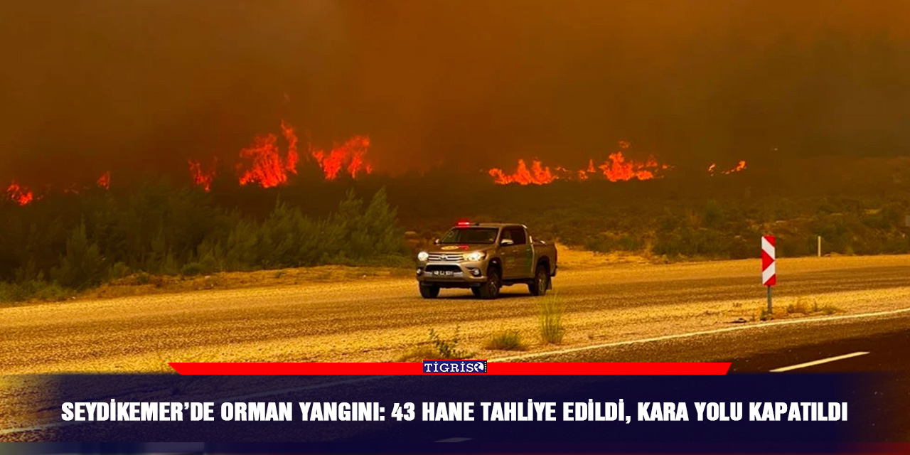 Seydikemer’de orman yangını: 43 hane tahliye edildi, kara yolu kapatıldı