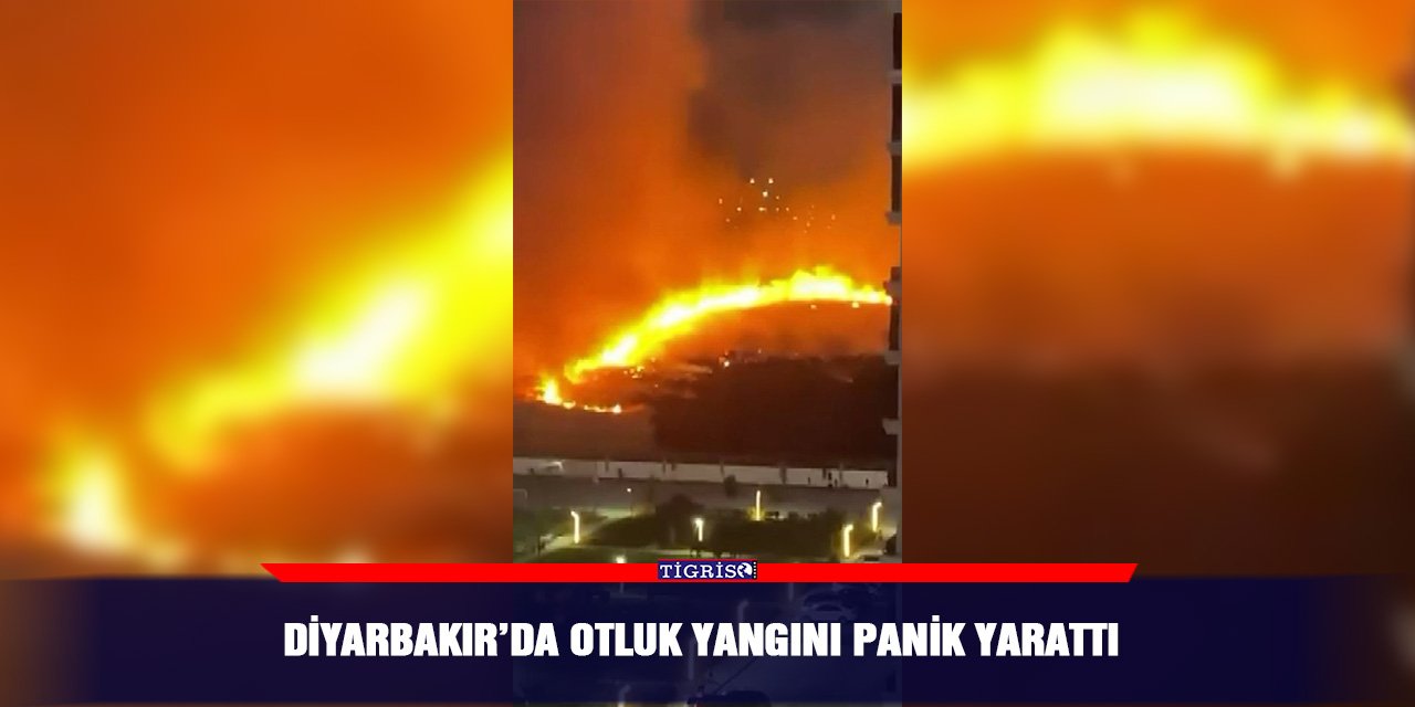 Diyarbakır’da otluk yangını panik yarattı
