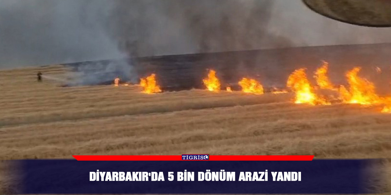 Diyarbakır'da 5 bin dönüm arazi yandı