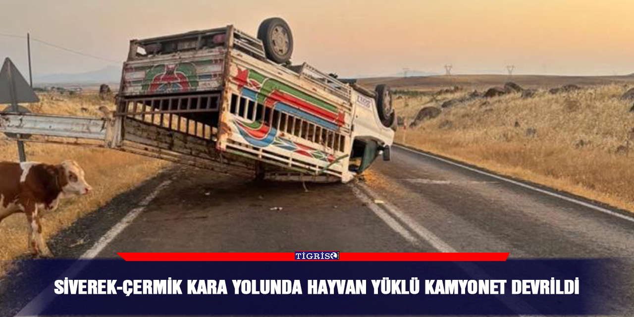 Siverek-Çermik kara yolunda hayvan yüklü kamyonet devrildi