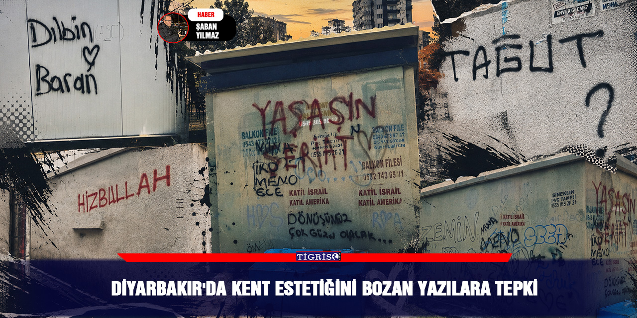 Diyarbakır'da kent estetiğini bozan yazılara tepki