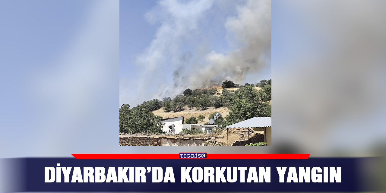 Diyarbakır’da korkutan yangın
