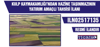 KULP KAYMAKAMLIĞI’NDAN HAZİNE TAŞINMAZININ YATIRIM AMAÇLI TAHSİSİ İLANI