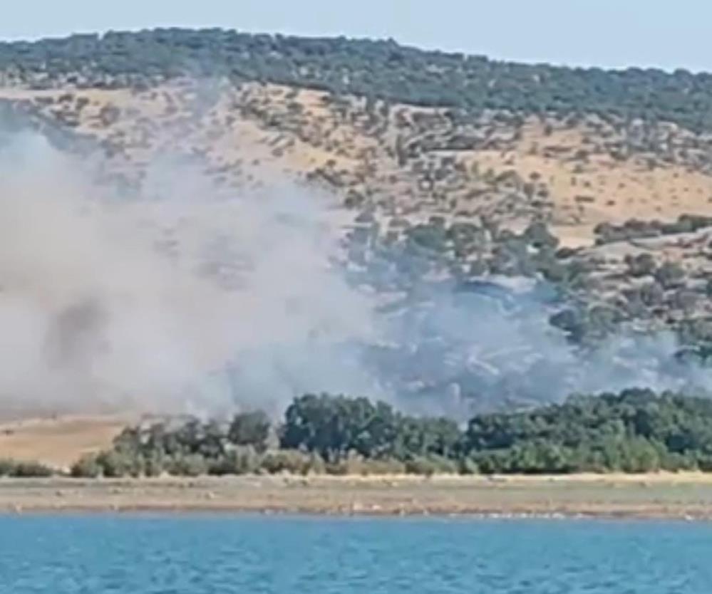 Diyarbakır’da ağaçlık alanda yangın