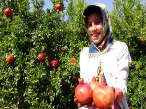 Kızıl narlar zamanı