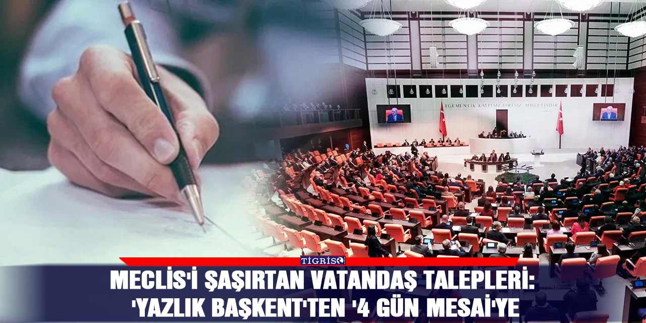 Meclis'i şaşırtan vatandaş talepleri: 'Yazlık Başkent'ten '4 gün mesai'ye