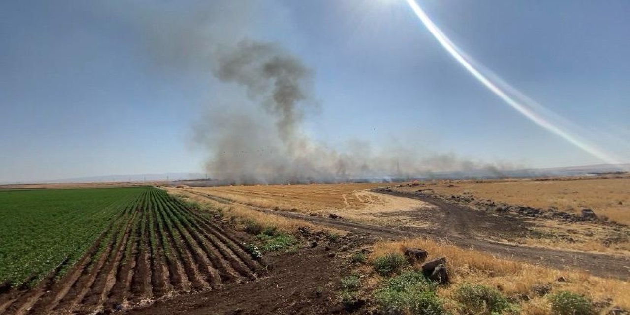 Diyarbakır'da çıkan örtü ve anız yangını söndürüldü