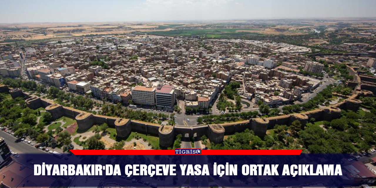 Diyarbakır'da çerçeve yasa için ortak açıklama