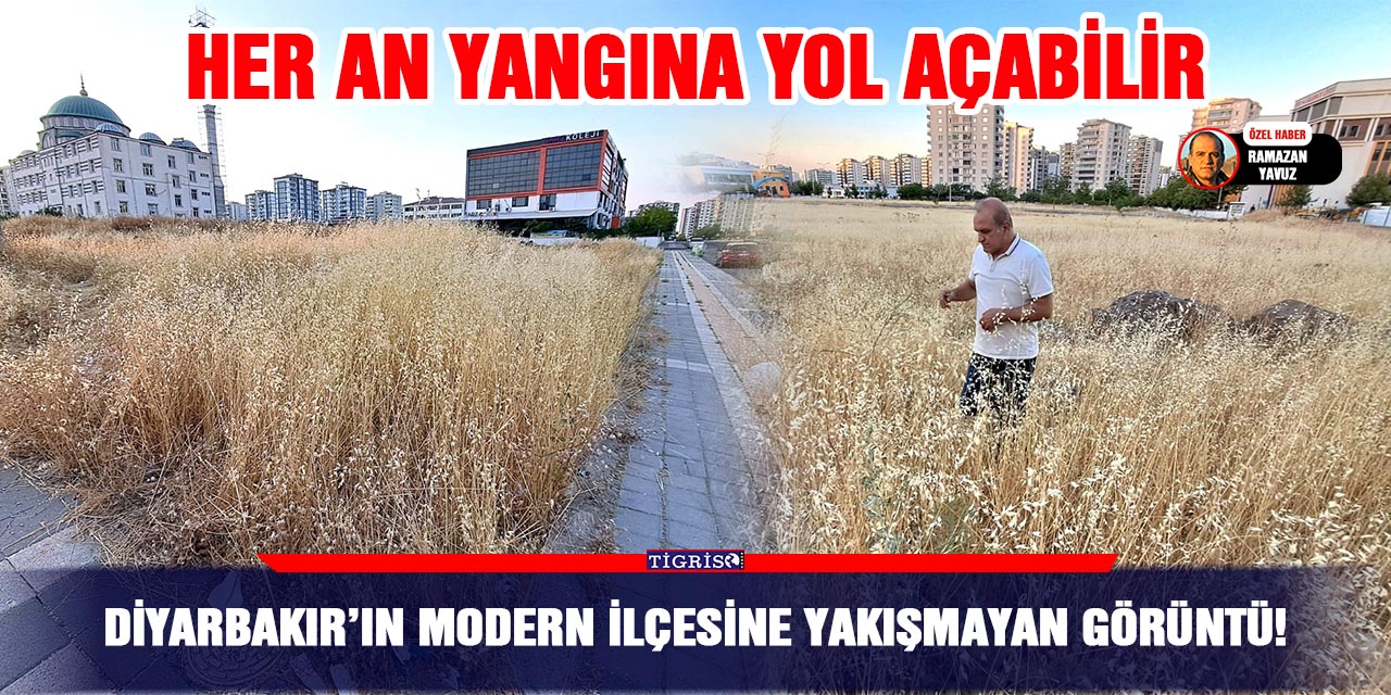 Diyarbakır’ın modern ilçesine yakışmayan görüntü!