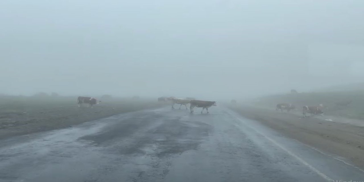 Ilgar Dağı'nda yoğun sis görüşü düşürdü
