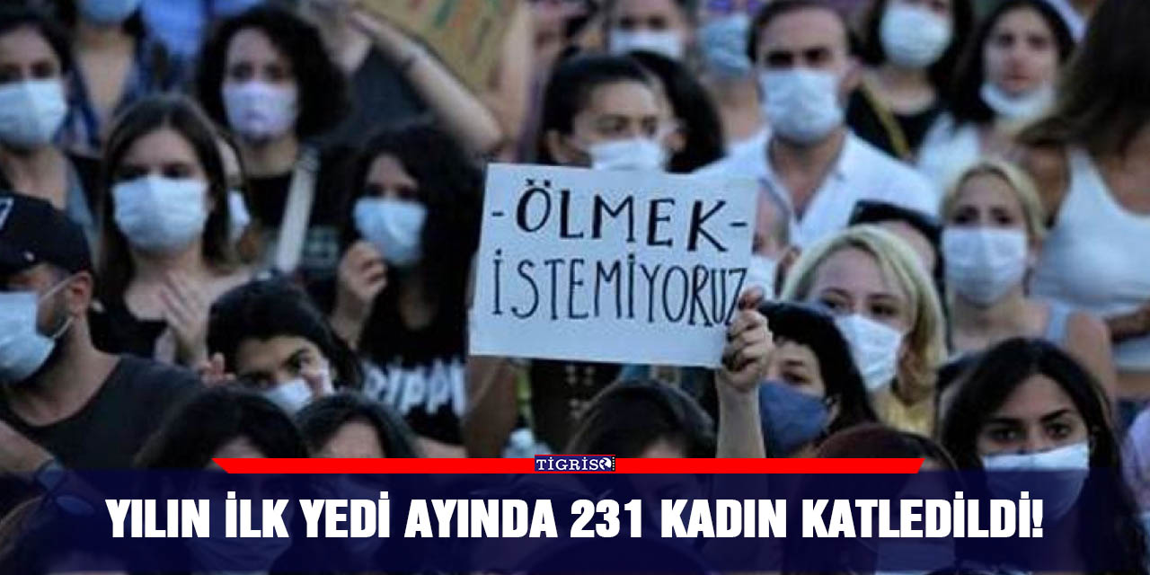 Yılın ilk yedi ayında 231 kadın katledildi!