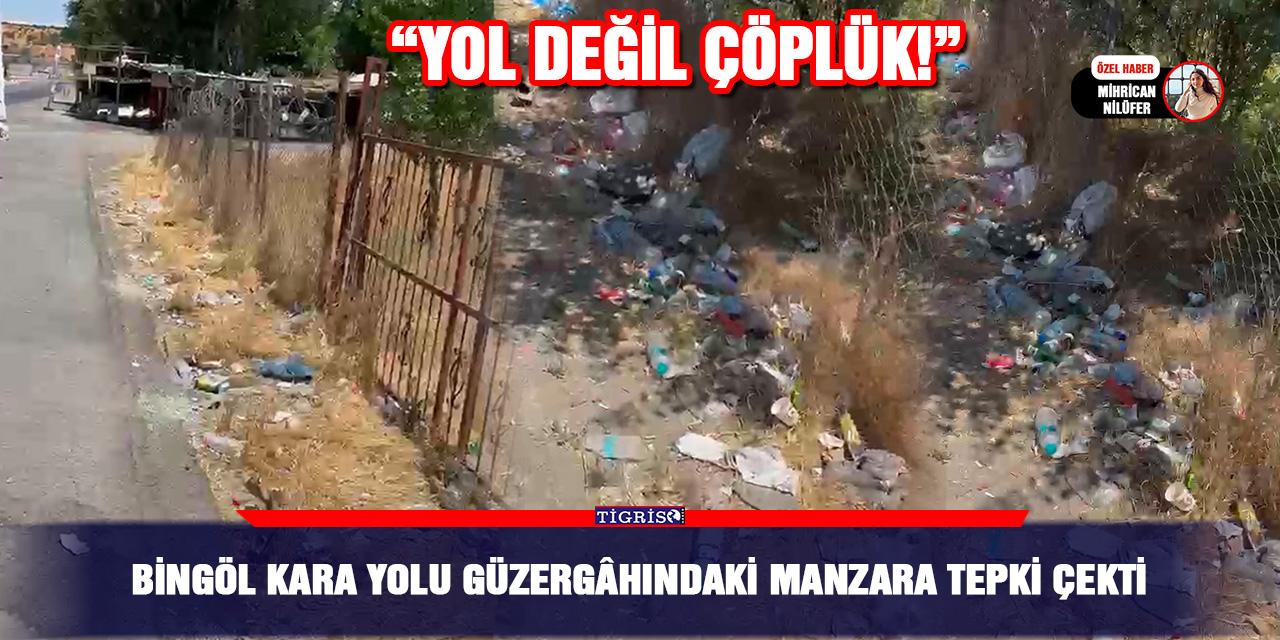 Bingöl kara yolu güzergâhındaki manzara tepki çekti