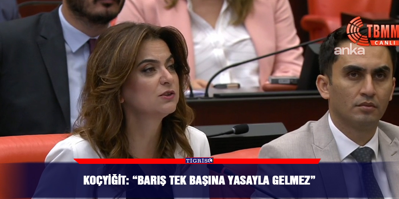 Koçyiğit: “Barış tek başına yasayla gelmez”