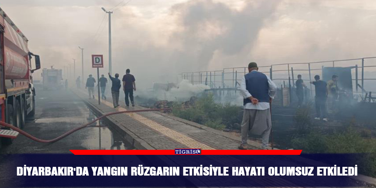 Diyarbakır'da yangın rüzgarın etkisiyle hayatı olumsuz etkiledi