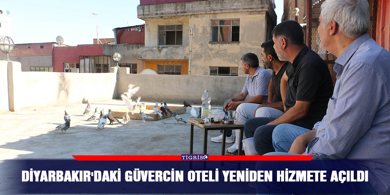 Diyarbakır'daki güvercin oteli yeniden hizmete açıldı