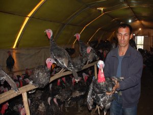 AZMETTİ HİNDİ ÇİFTLİĞİ KURDU