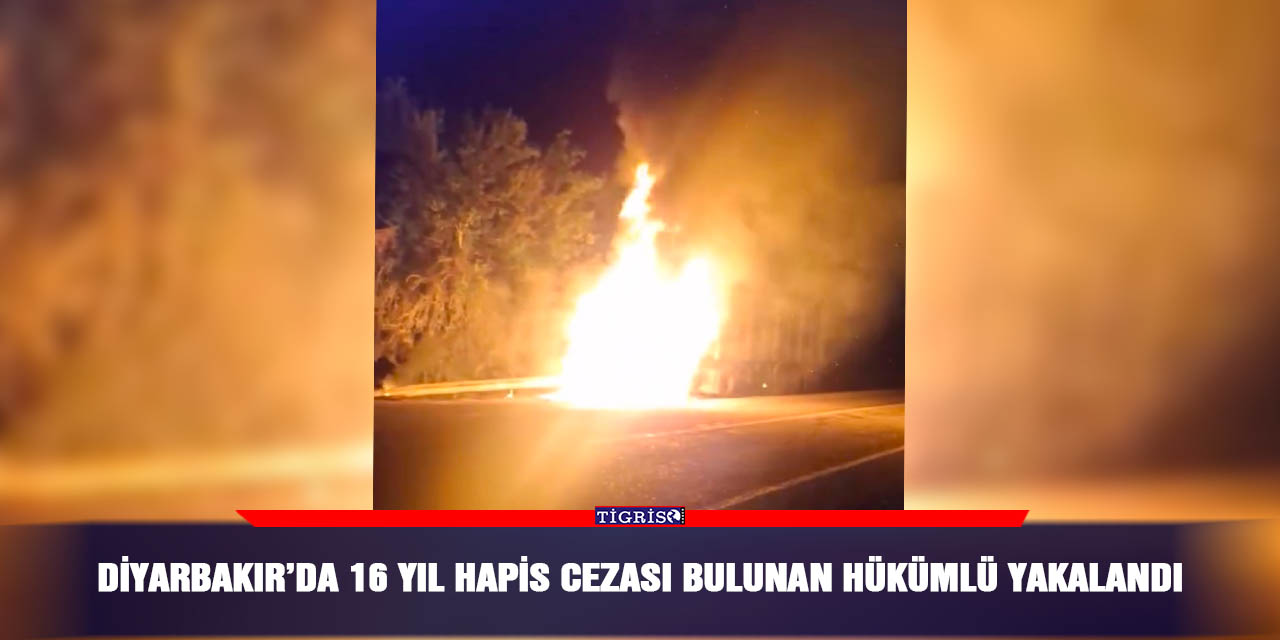 Diyarbakır'da seyir halindeki tır alev alev yandı