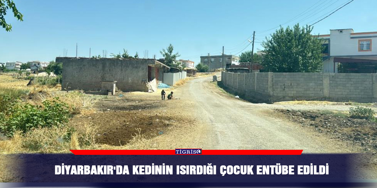 Diyarbakır'da kedinin ısırdığı çocuk entübe edildi