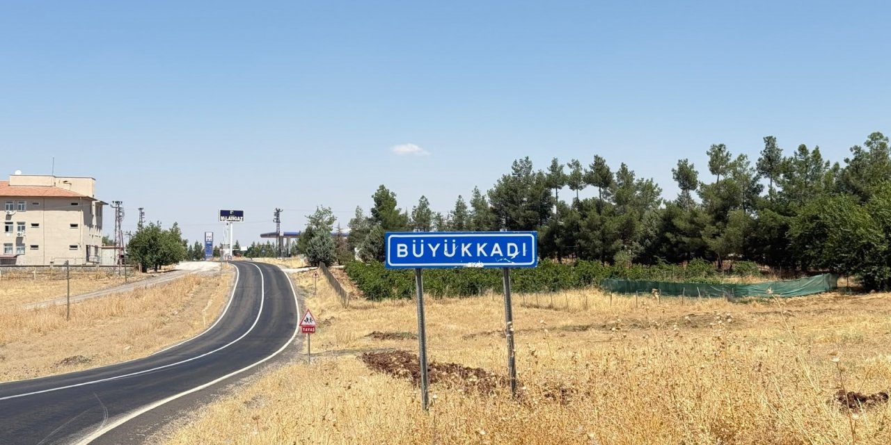 Diyarbakır Valiliğinden kuduz açıklaması