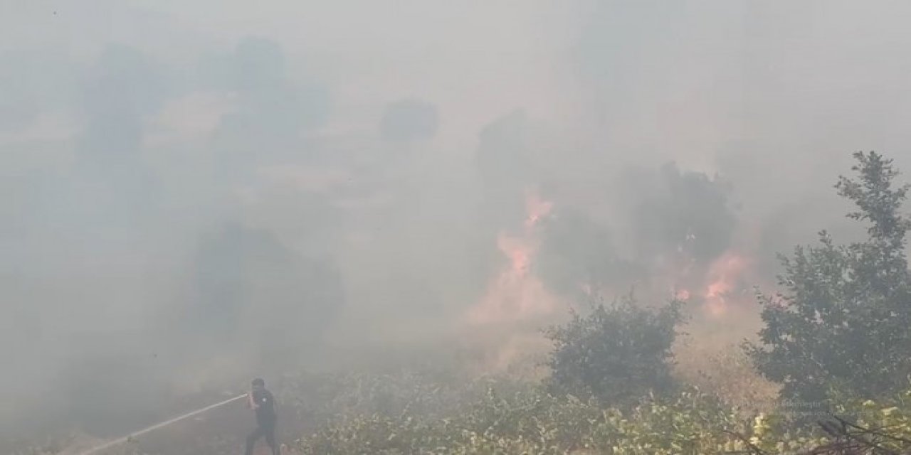 Diyarbakır’da orman yangını