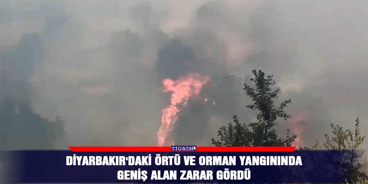 Diyarbakır'daki örtü ve orman yangınında geniş alan zarar gördü