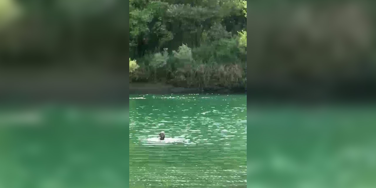 Dicle Nehri'nde 4 kişinin bulunduğu bot devrildi: 1 ölü