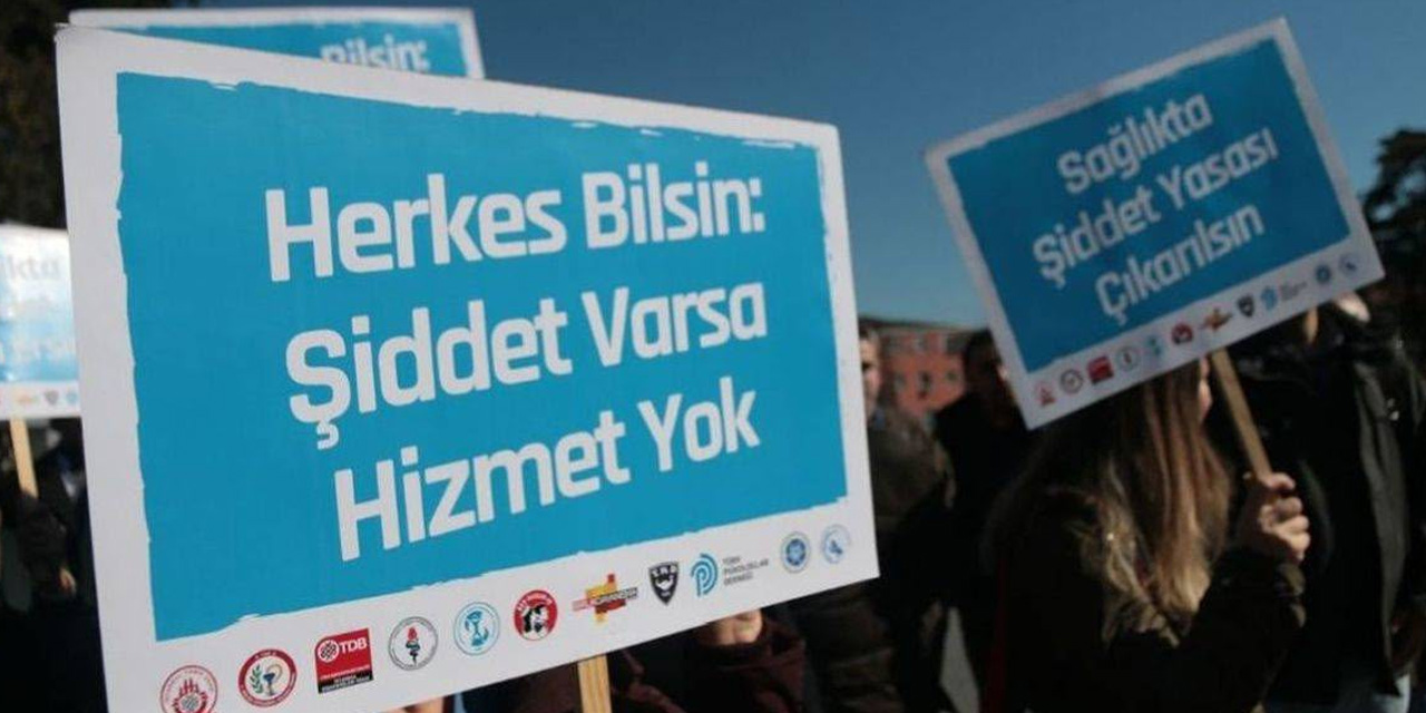 Türkiye’de sağlıkta şiddet: Şiddeti besleyen temel nedenler