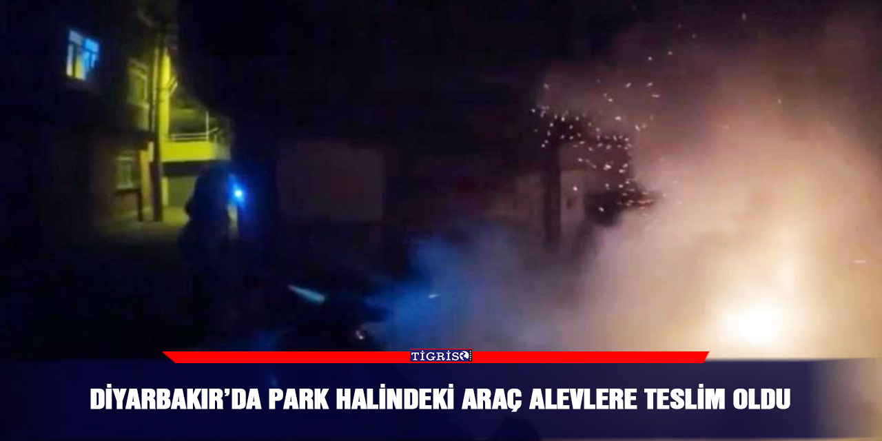 Diyarbakır’da park halindeki araç alevlere teslim oldu